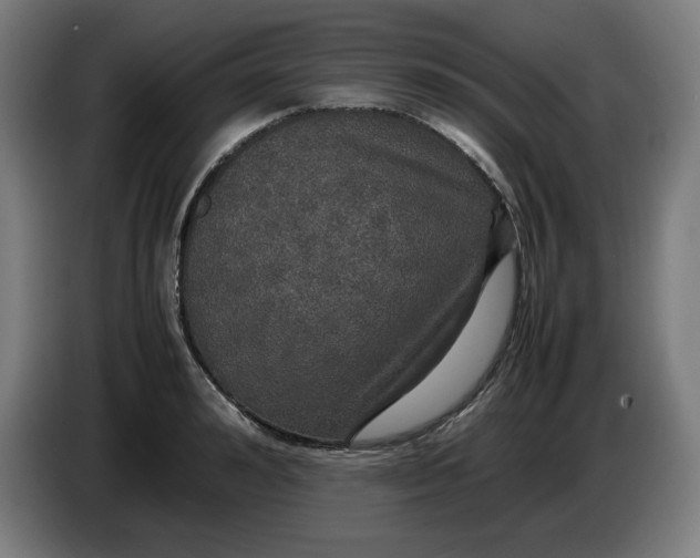 X0000085270992200703301850