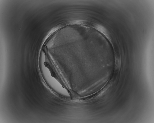 X0000085270994200703301850