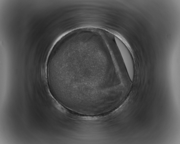 X0000085270996200703301850