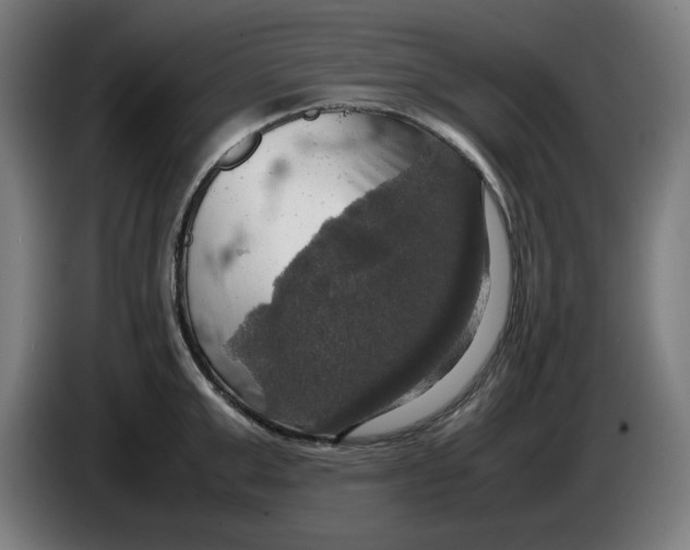 X0000085270999200703301850