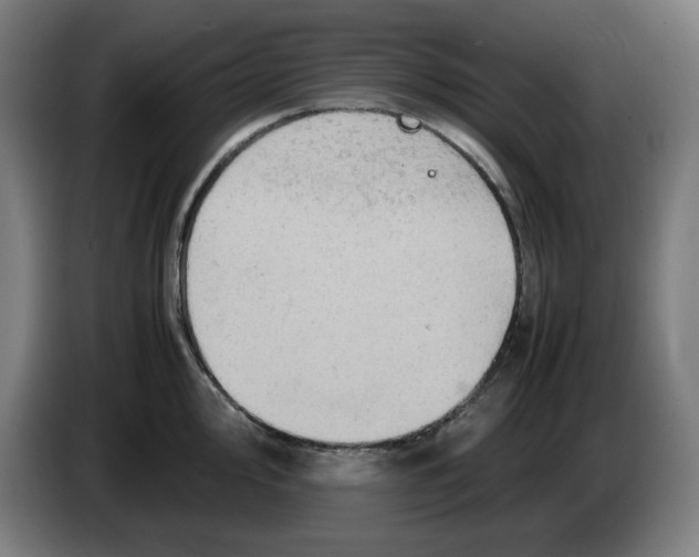 X0000085271000200703301850