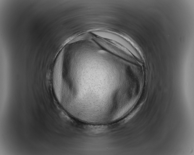 X0000085271001200703301850