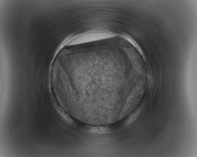 X0000085271002200703301850