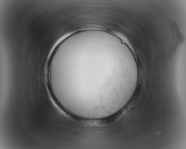 X0000085271003200703301850