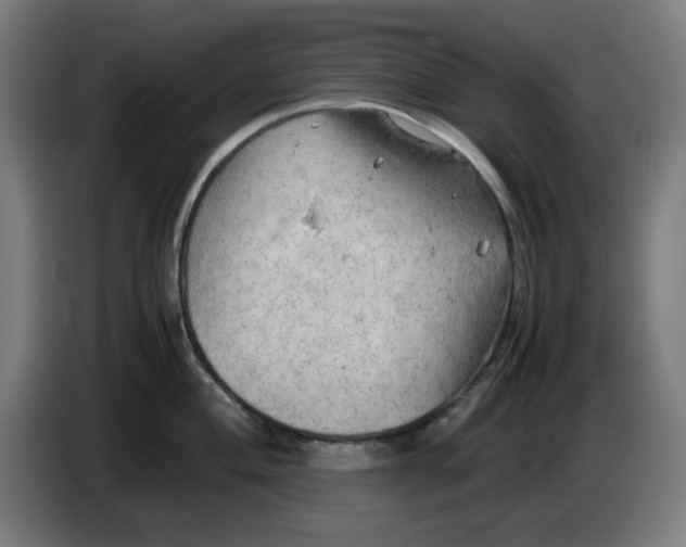 X0000085271004200703301850