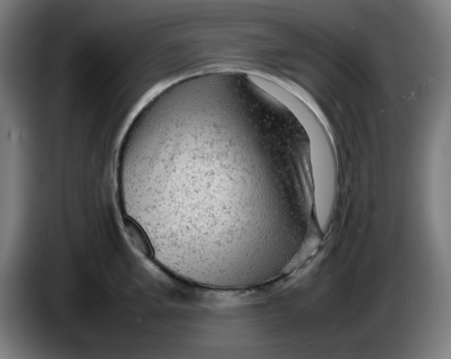 X0000085271005200703301850