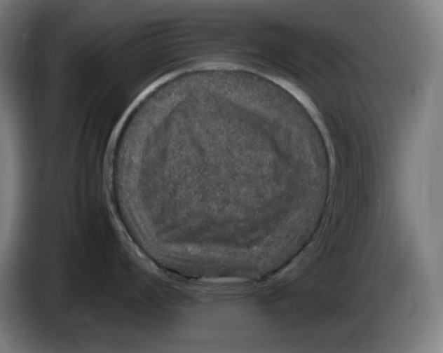 X0000085271008200703301850