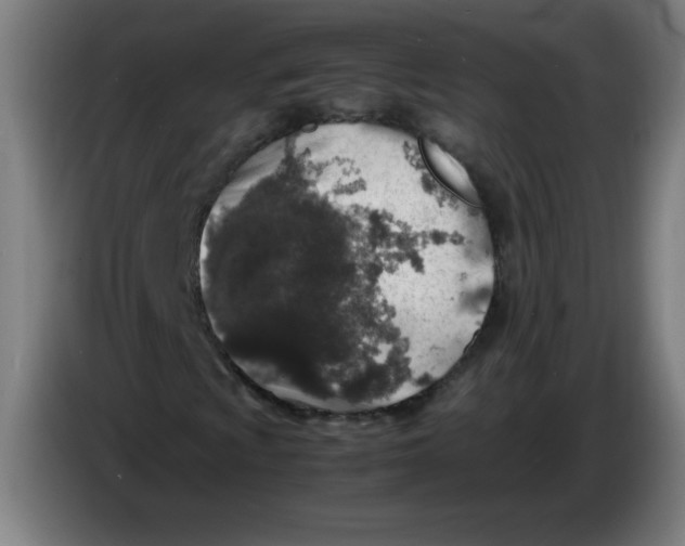 X0000085271009200703301849