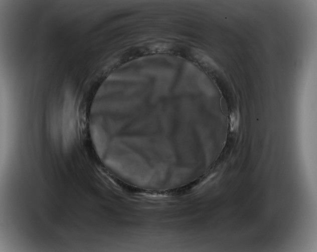 X0000085271011200703301849