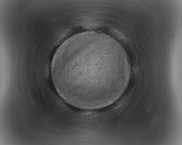 X0000085271012200703301849