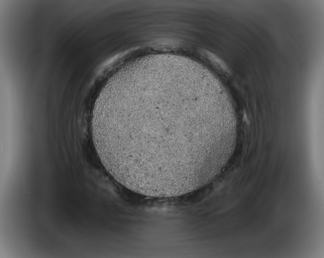 X0000085271016200703301849