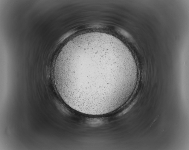 X0000085271017200703301849