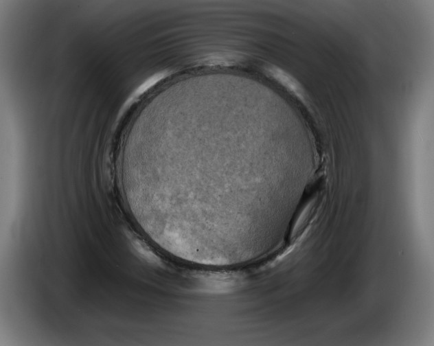 X0000085271018200703301849