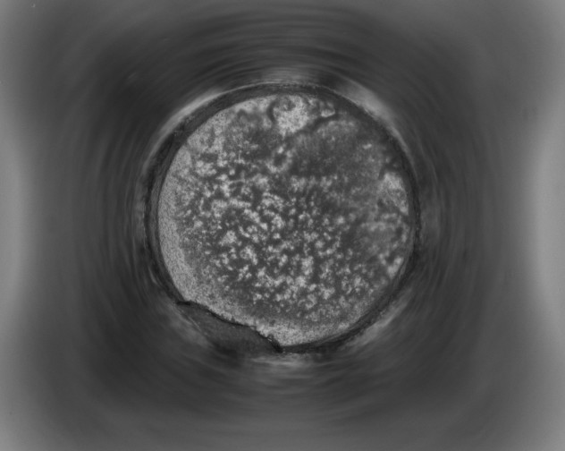 X0000085271019200703301849