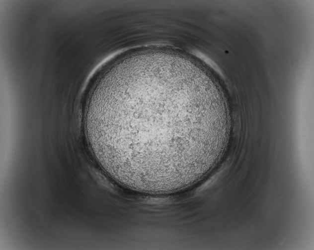 X0000085271021200703301850