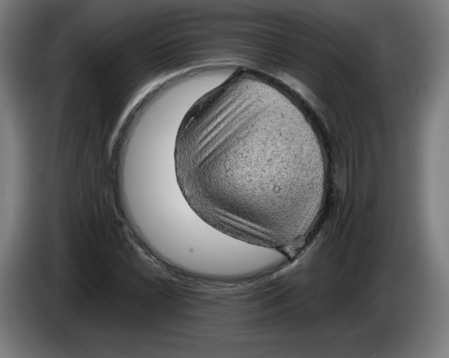 X0000085271022200703301850