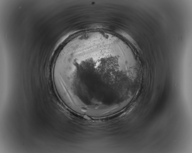 X0000085271023200703301850