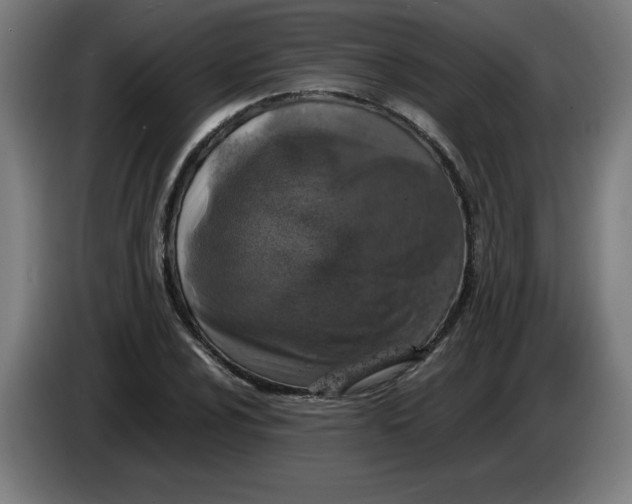 X0000085271024200703301850