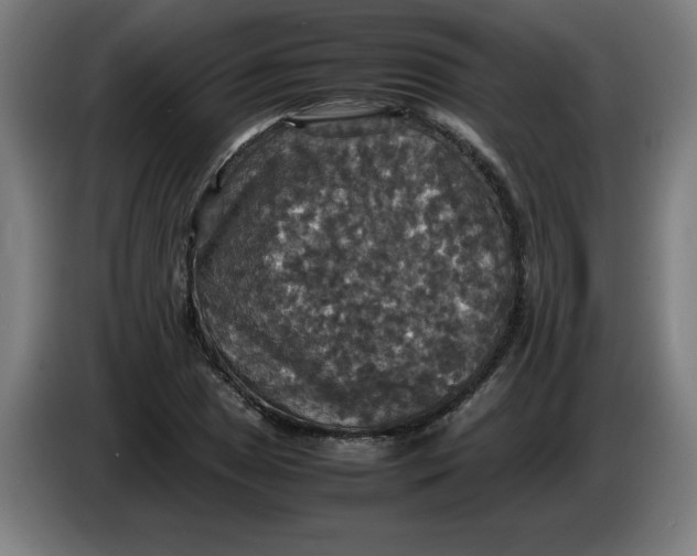 X0000085271025200703301850