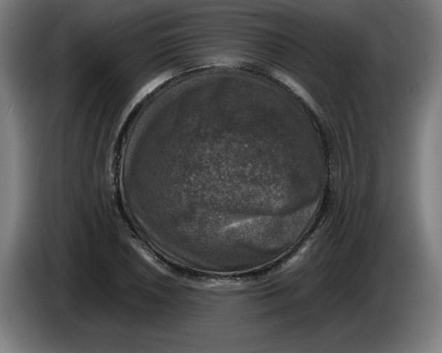 X0000085271026200703301850