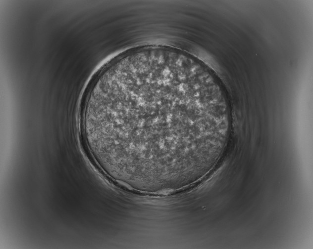 X0000085271028200703301850