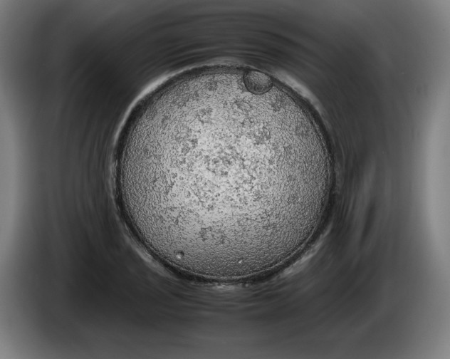 X0000085271029200703301850