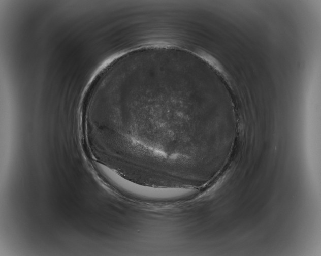 X0000085271030200703301850