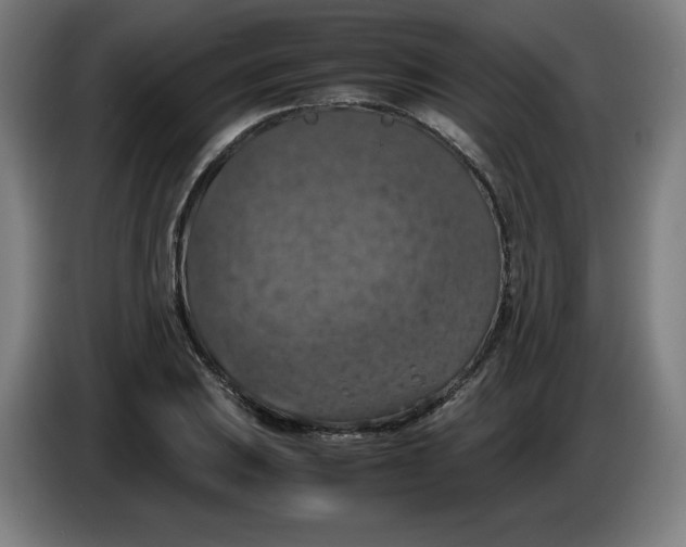 X0000085271031200703301850