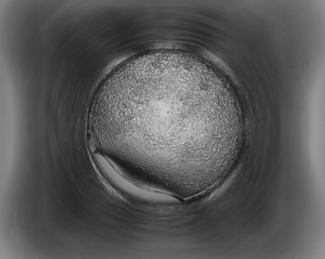 X0000085271033200703301850