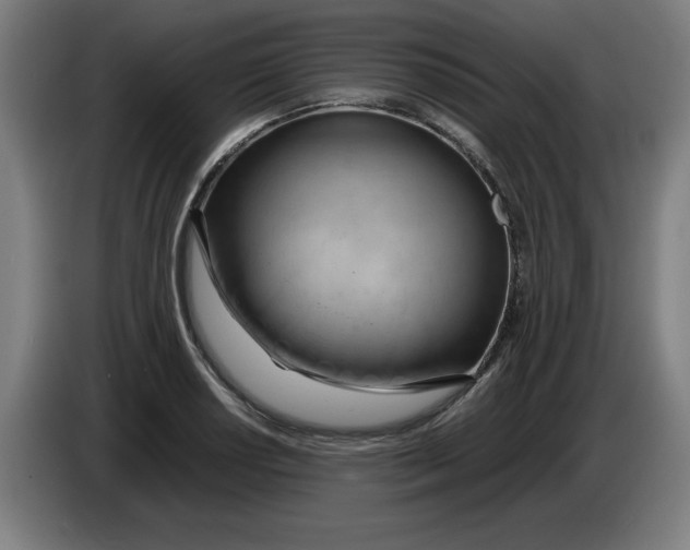 X0000085271034200703301850