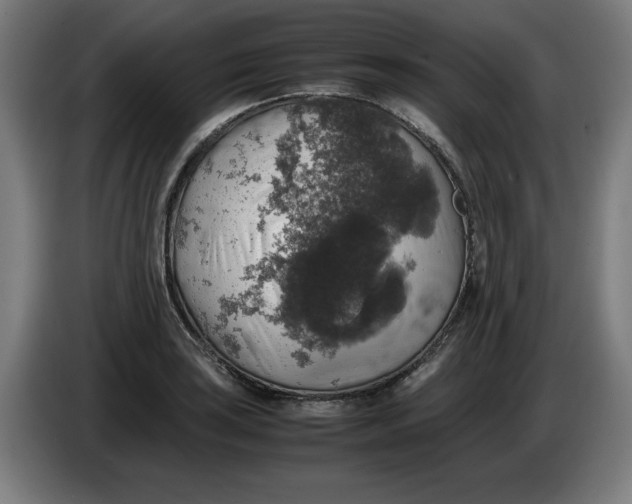 X0000085271035200703301850