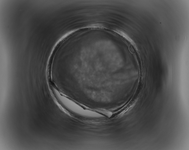 X0000085271037200703301850