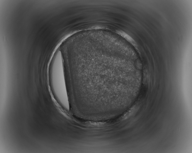 X0000085271039200703301850