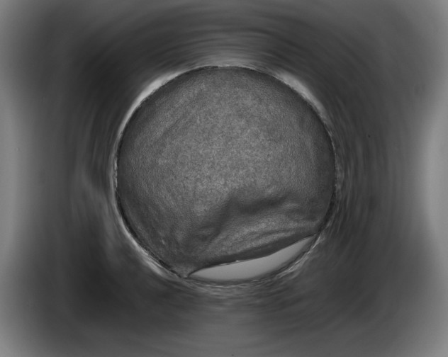 X0000085271040200703301850