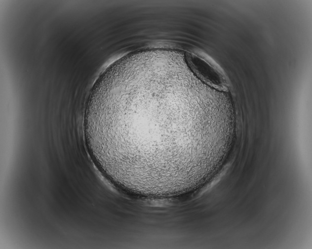 X0000085271041200703301850