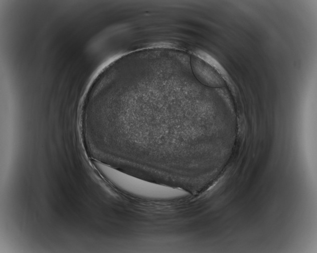 X0000085271043200703301850