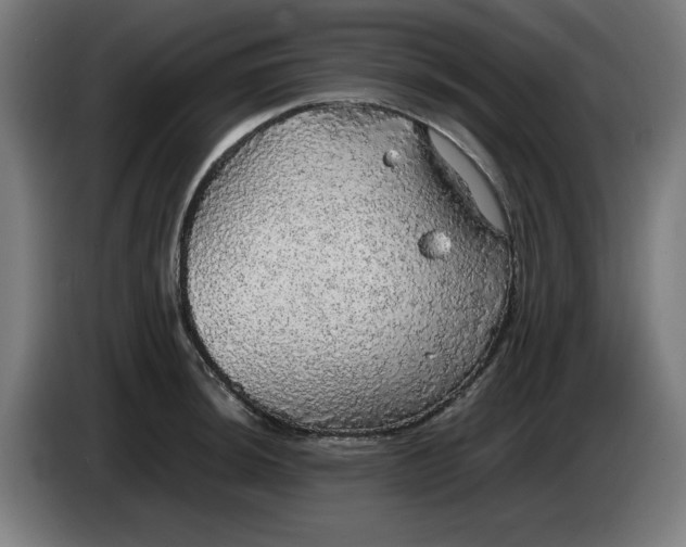 X0000085271044200703301850