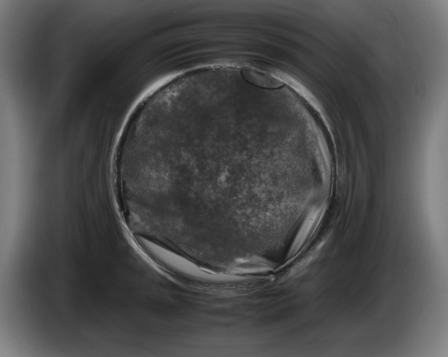 X0000085271045200703301850