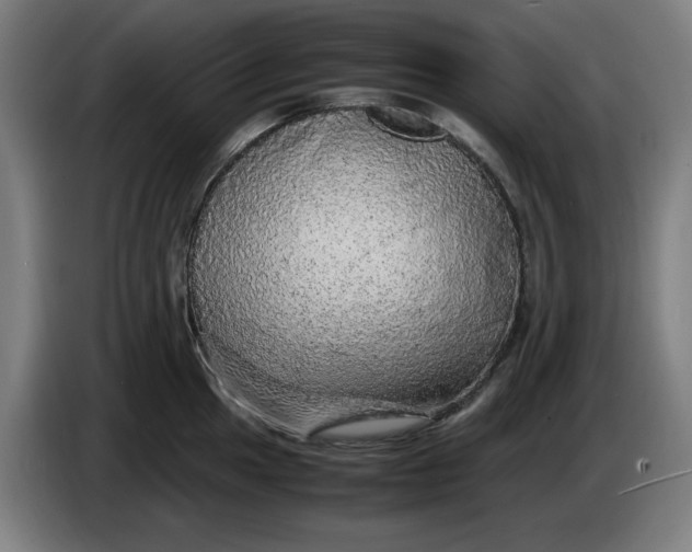 X0000085271049200703301850