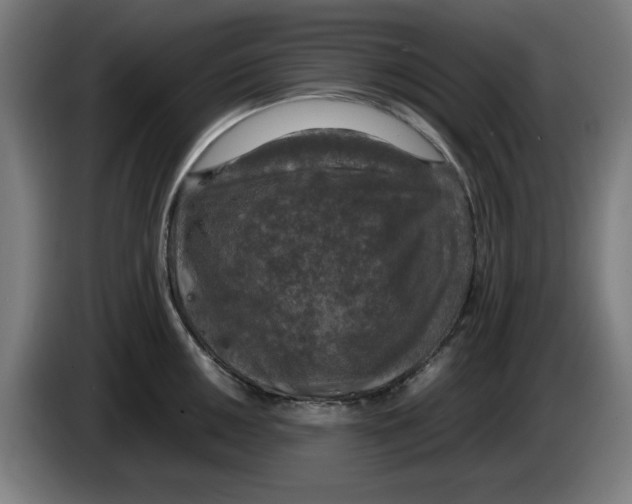 X0000085271050200703301850