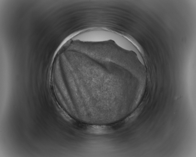 X0000085271052200703301850