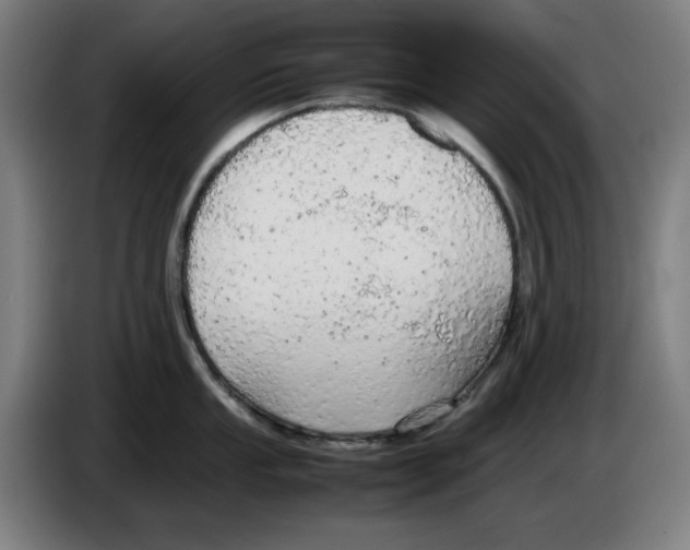 X0000085271053200703301850