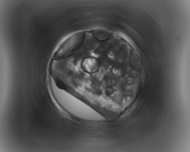 X0000085271055200703301850