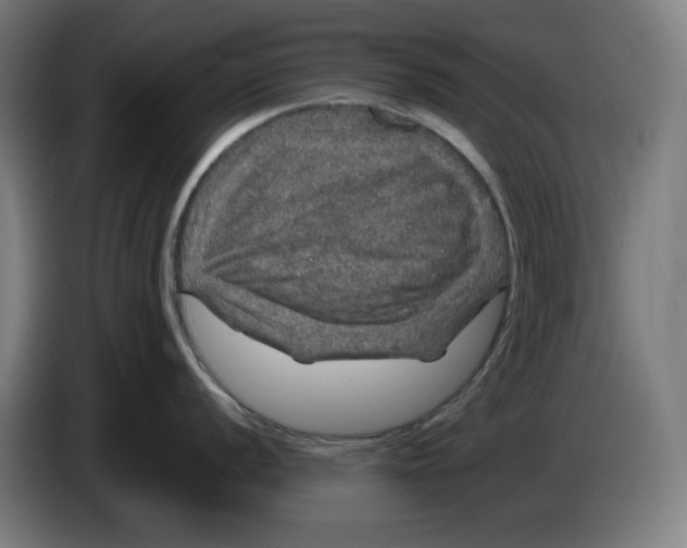 X0000085271056200703301850