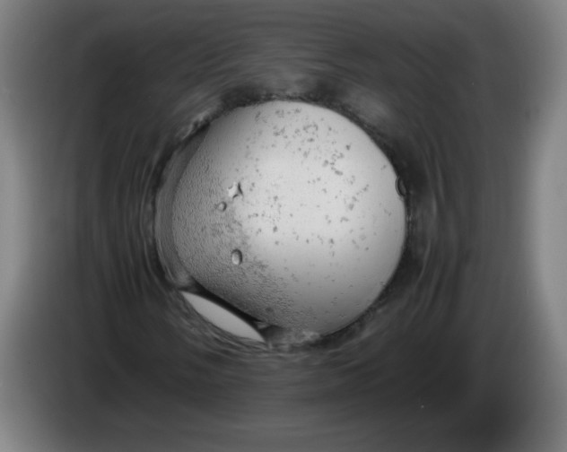 X0000085271058200703301849