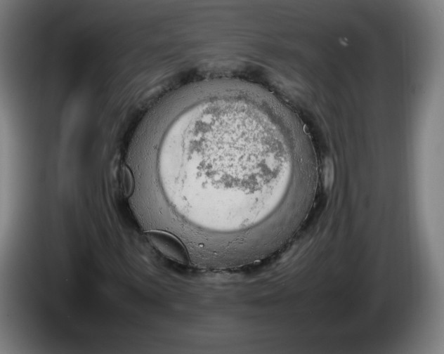 X0000085271059200703301849