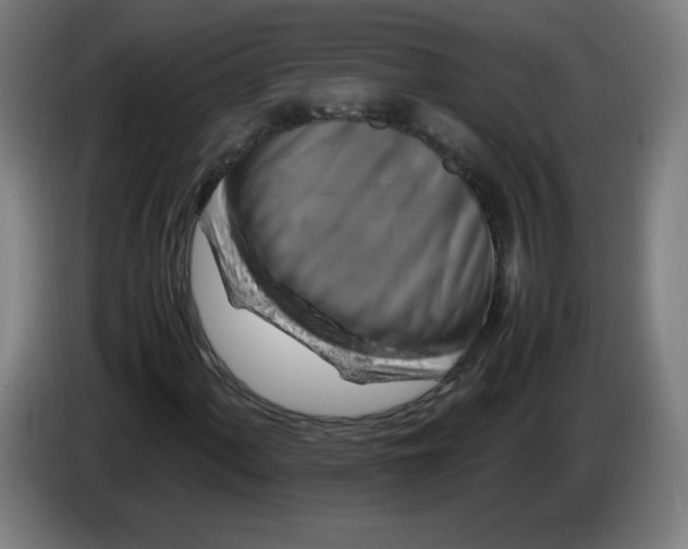 X0000085271060200703301849