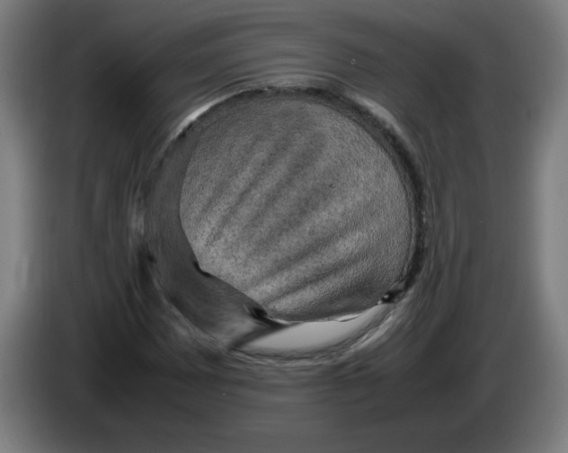 X0000085271065200703301849