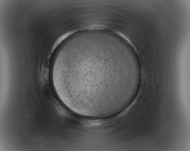 X0000085271066200703301849