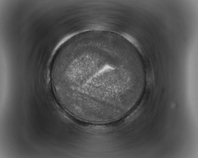 X0000085271070200703301849